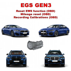Module reset EWS option for G series EGS GEN3 Module reset EWS option for G series EGS GEN3